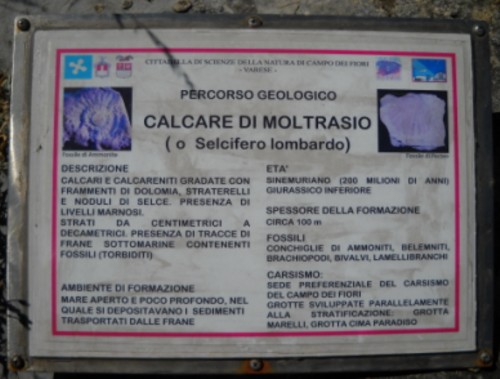 Cartellonistica Campo dei Fiori